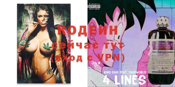 apvp Лабытнанги