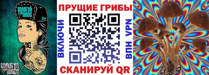 Псилоцибиновые грибы Cubensis  где купить наркотик  Новая Усмань 