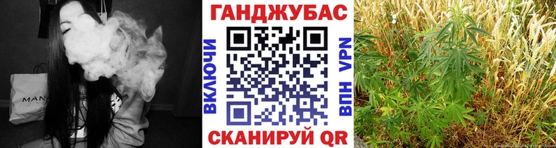 где найти наркотики  Новая Усмань  Шишки марихуана Amnesia 